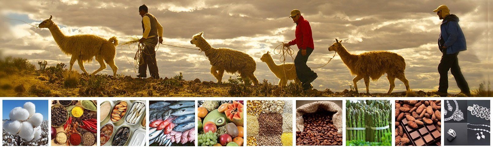 importar a España de perú, documentos para exportar a españa, como exportar a españa, importar de peru mercancias, textiles, cereales, legumbres