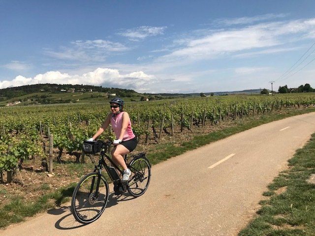 Walk in the vineyards in Beaune