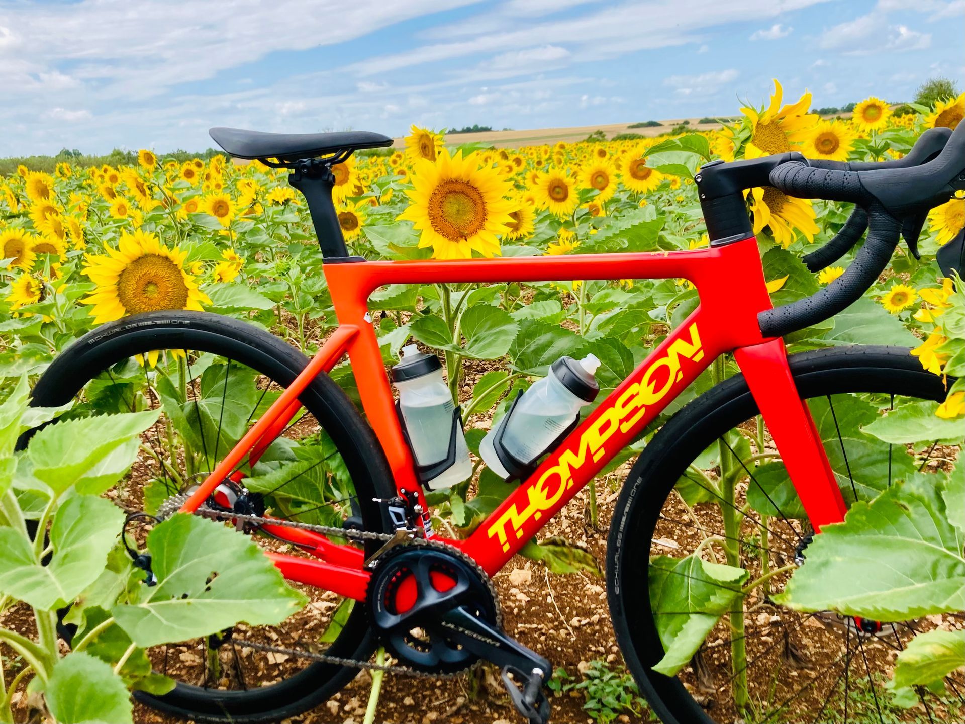 Balade à vélo dans les champs de tournesols avec Bourgogne Randonnées
