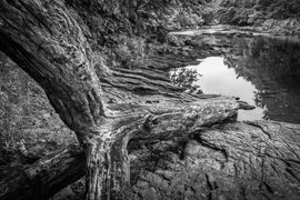 The River Dart above Newbridge by Mark Burley