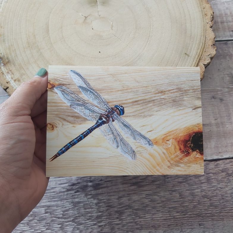Dragonfly greeting card