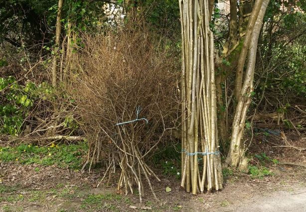 Cottage Coppicing Coppice Products