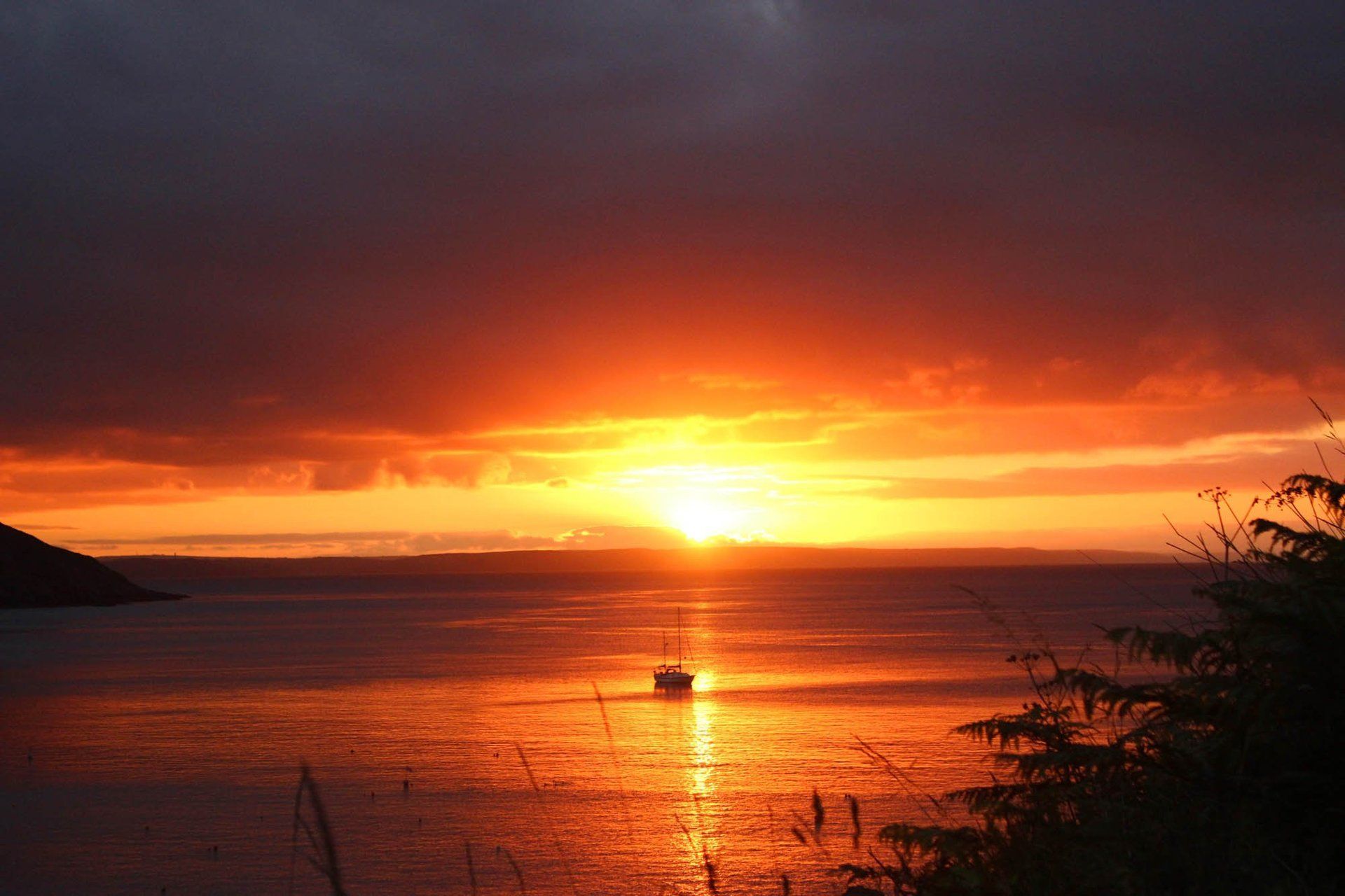 early morning from coastal path near Gorran Haven Inspector Treloar Mysteries Rogue Flamingo by L A Kent