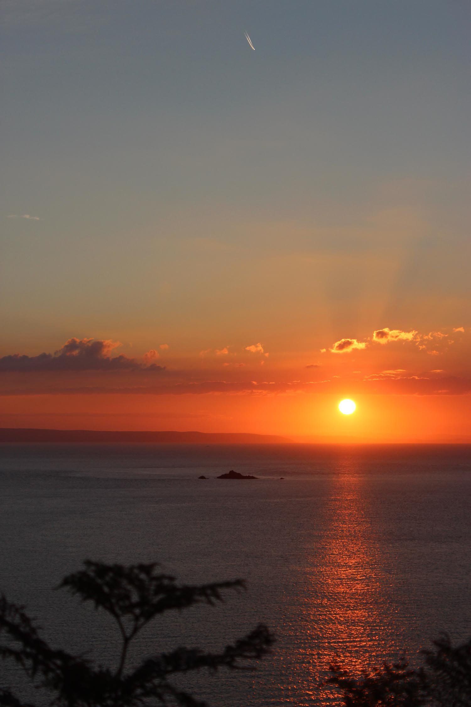 vapour trail off The Gwineas L A Kent Rogue Flamingo DI Treloar series