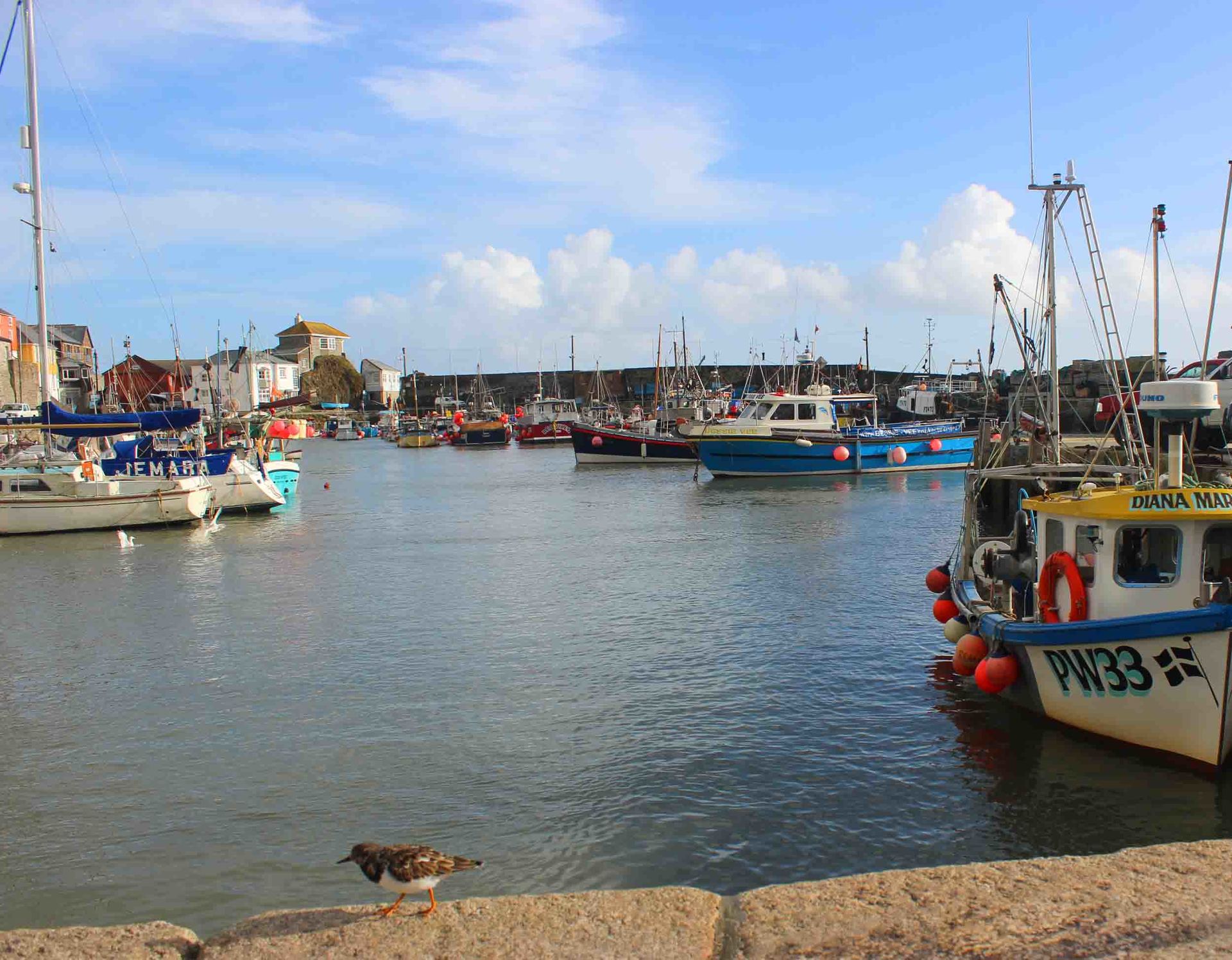 Mevagissey slipway Cornwall in photo gallery by L A Kent author of Rogue Flamingo