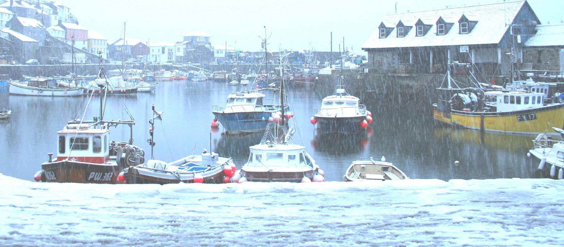 snowy day in Mevagissey L A Kent Rogue Flamingo DI Treloar