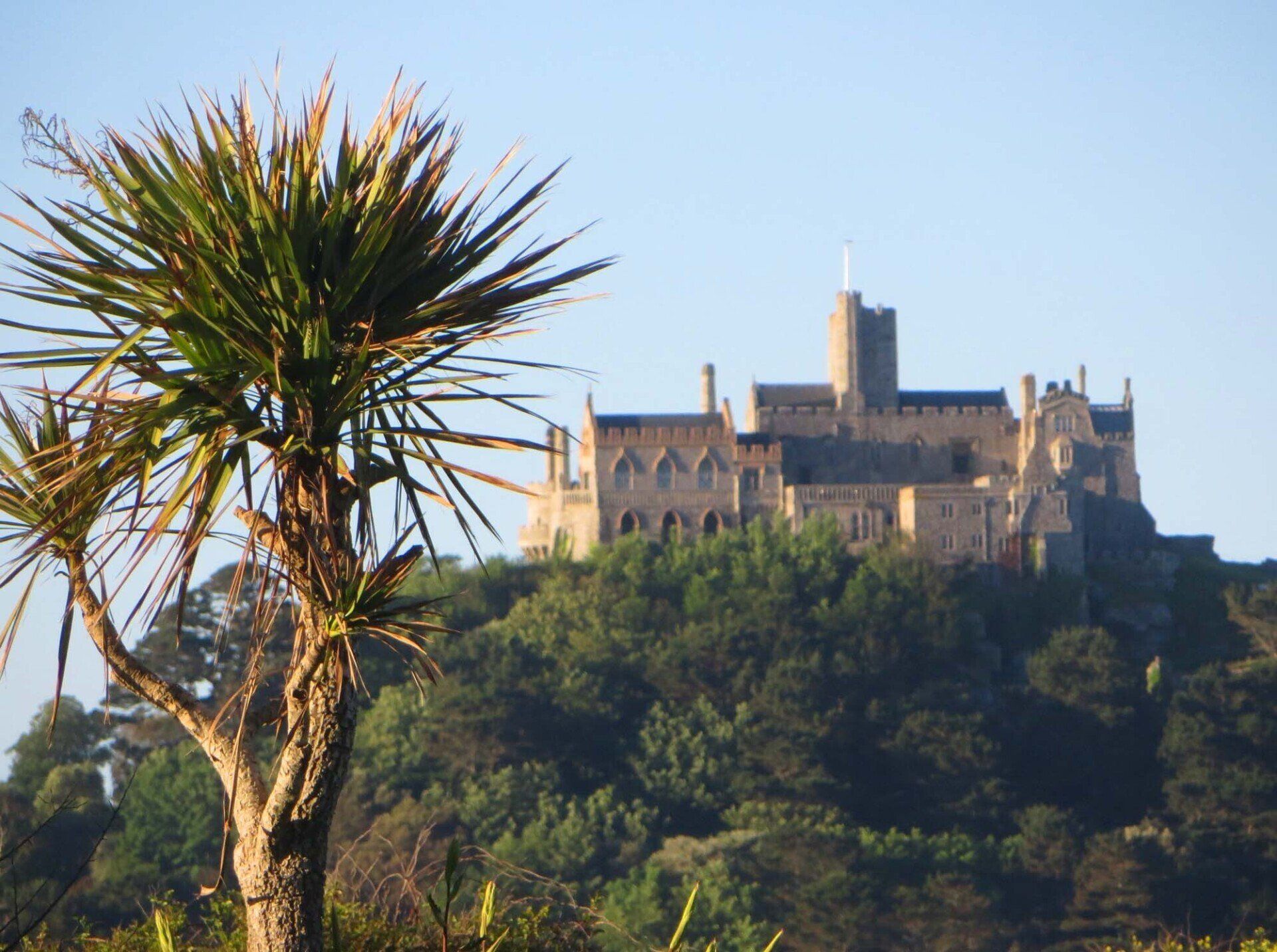 St Michael's Mount Fallen Kestrel L A Kent