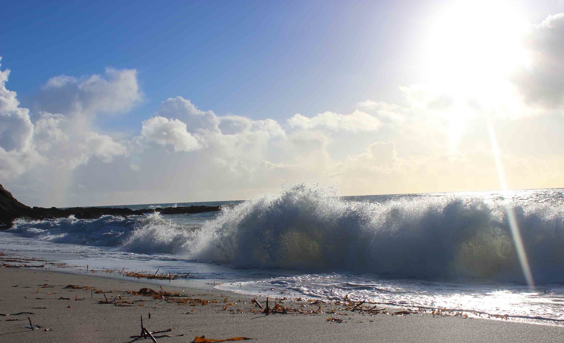waves crashing on Vault Beach L A Kent Rogue Flamingo D I Treloar