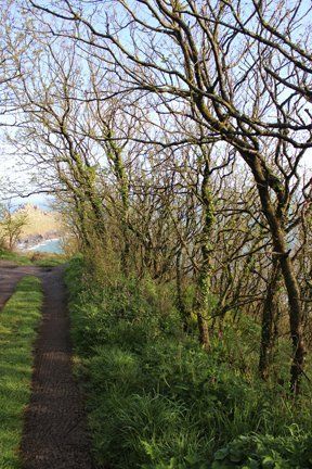 Towards Gurnard's Head Cornwall in photo gallery by L A Kent author of Broken Dove