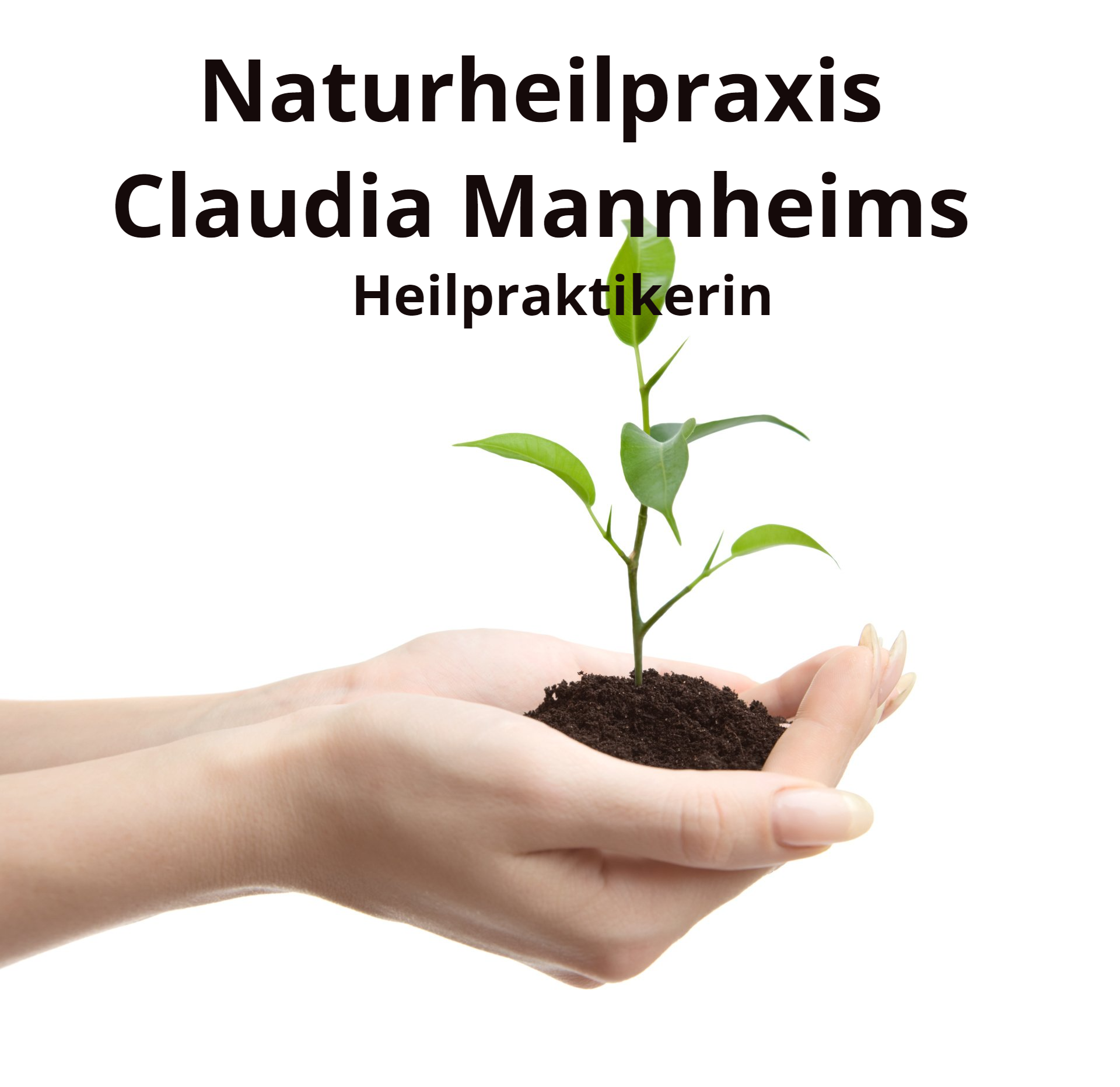 Naturheilpraxis Claudia Mannheims
