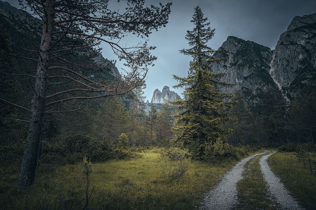 Waldweg inmitten eines südtiroler Waldes mit Blick auf die Drei Zinnen, Dolomiten