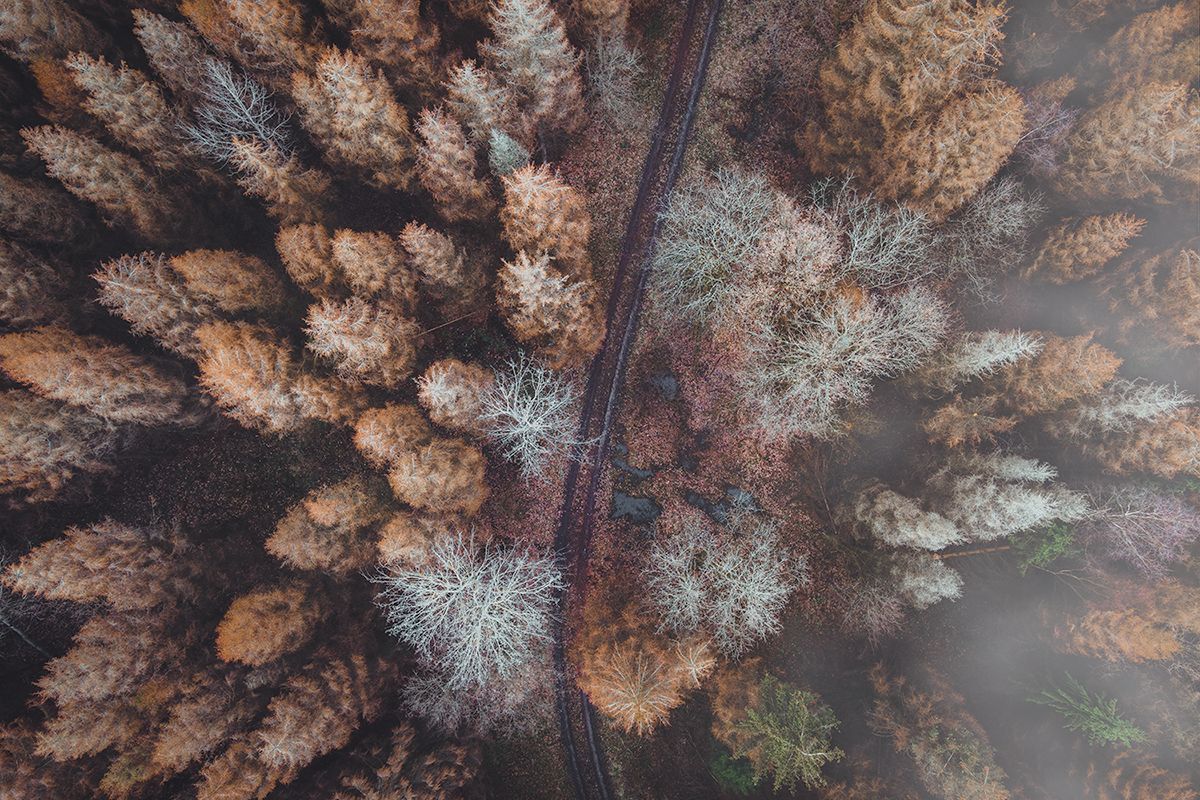 Wald mit Landstraße von oben, Deutschland