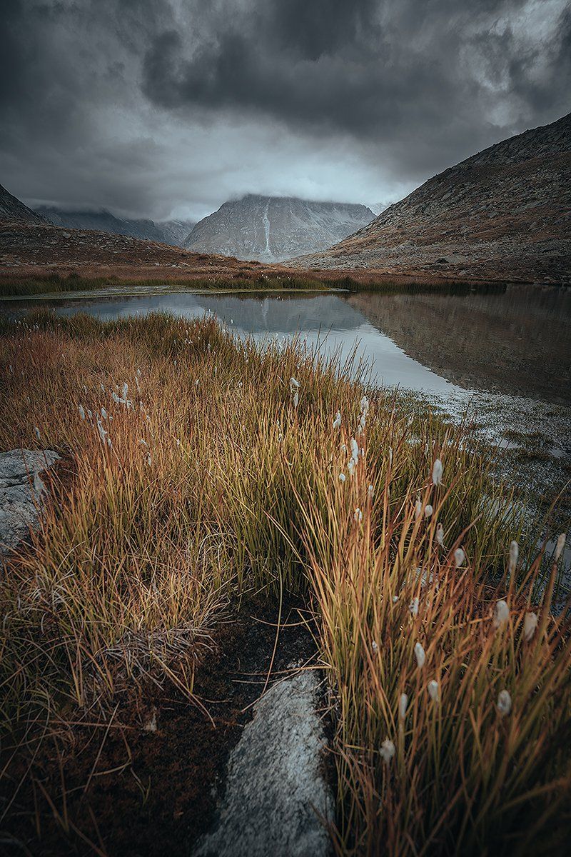 Gletschersee am Rande des Aletsch Gletschers mit Wiese im Vordergrund, Schweiz