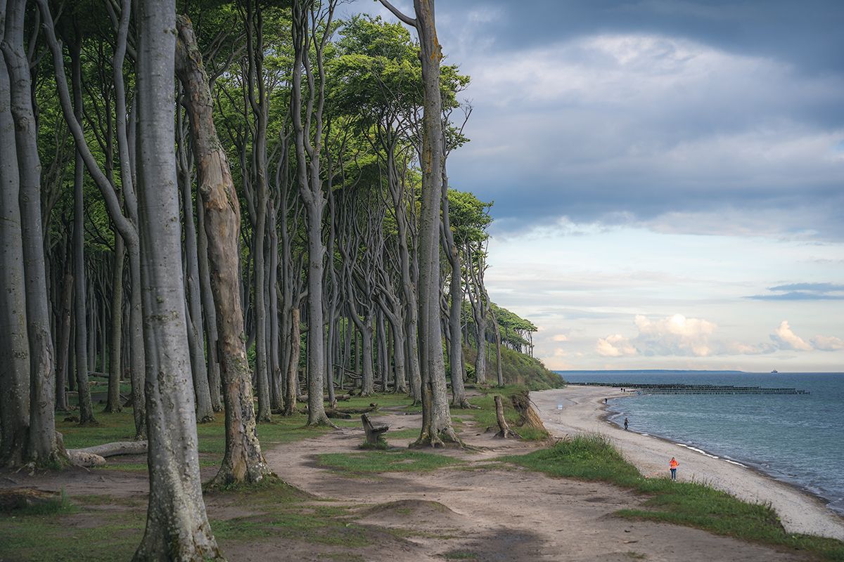 Die Küste des Gespensterwaldes an der Ostsee, Deutschland