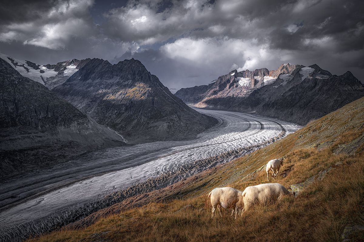 Landscape picture Switzerland