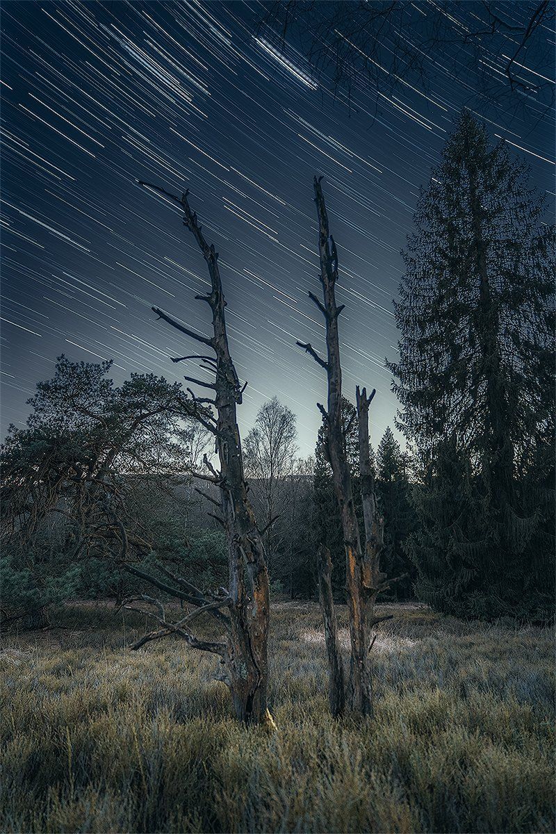 Sternenspuren bei Nacht im Teutoburger Wald, Deutschland