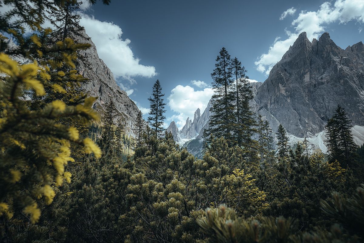 Markante Bergkulisse mit Wald im Vordergrund, Dolomiten