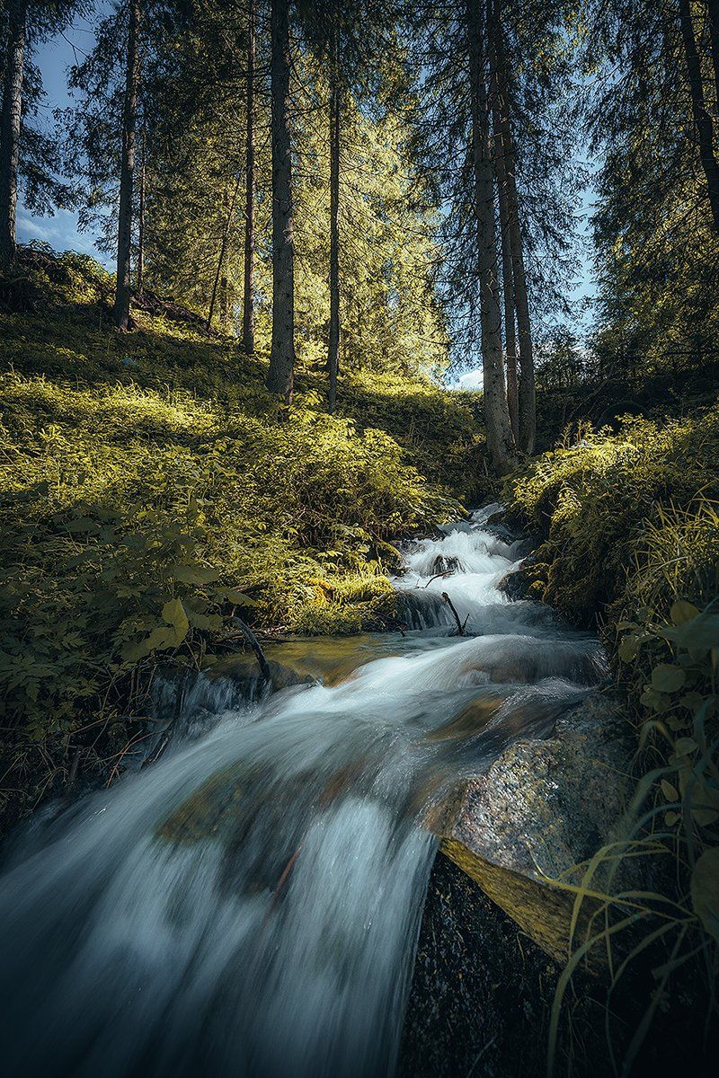 Landschaftsbild Flowing Water - Ein kleiner Wasserfall in den Dolomiten inmitten eines Waldes.