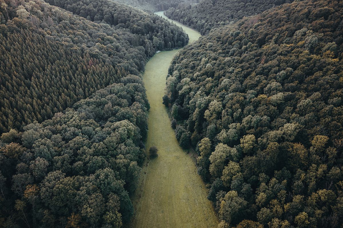 Das Dunetal von oben mit einer Lichtung im Wald, Deutschland