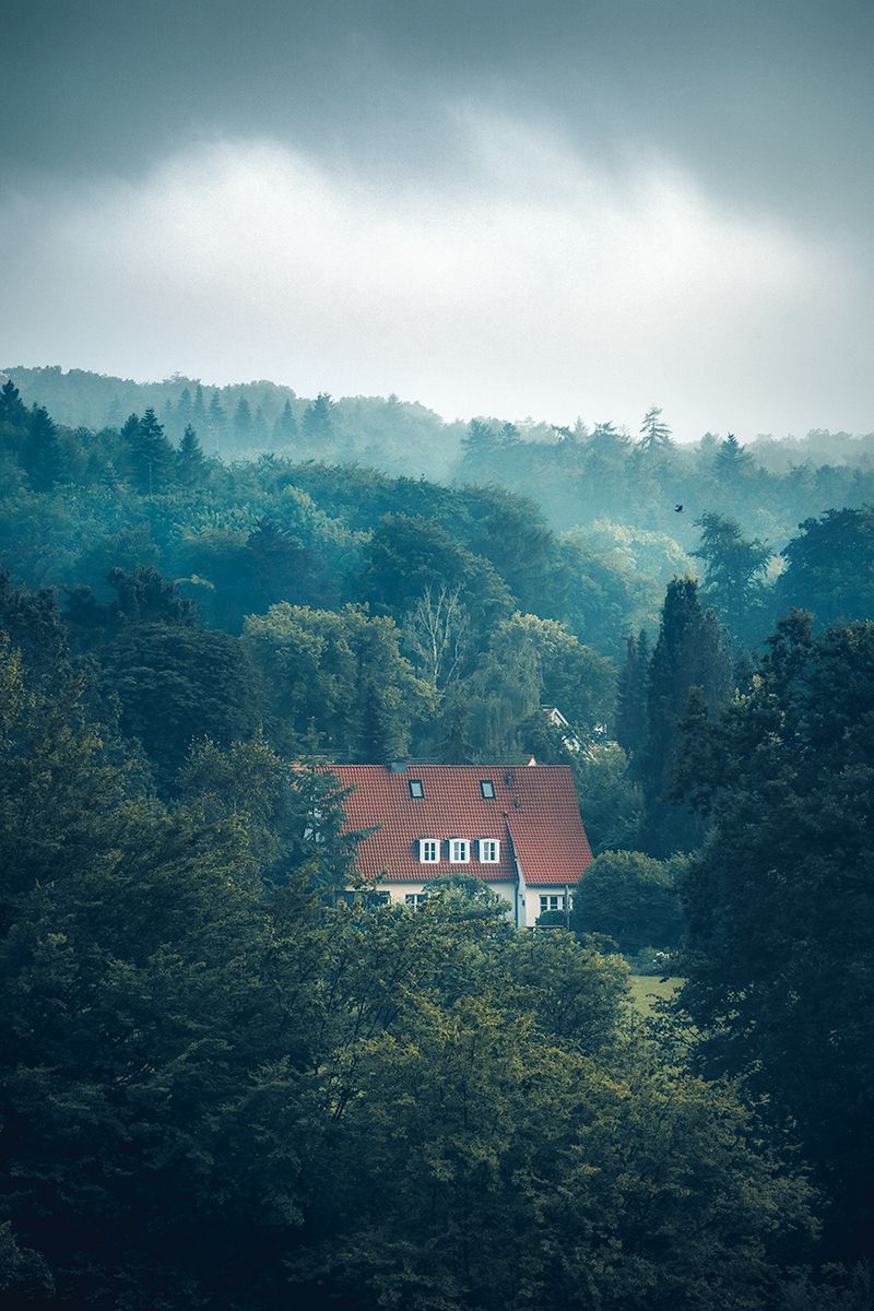 Rotes Haus mitten im nebligen Teutoburger Wald, Deutschland