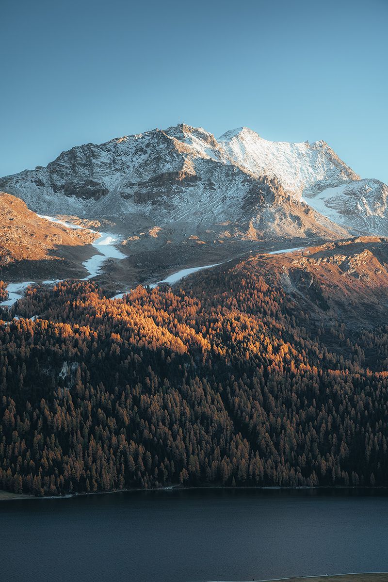 Wunderschöne Bergkulisse mit Wald in Herbstfarben, Schweiz