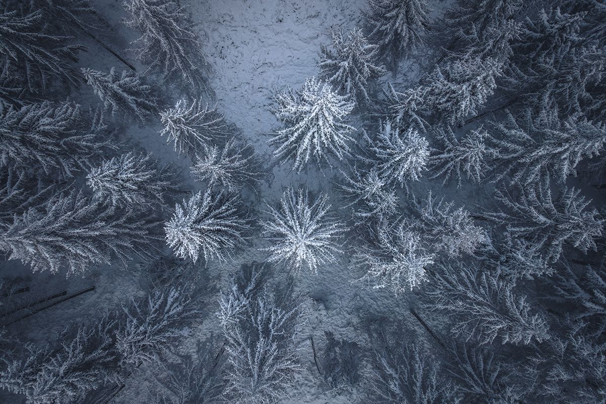 Wald im Schnee aus der Vogelperspektive, Deutschland