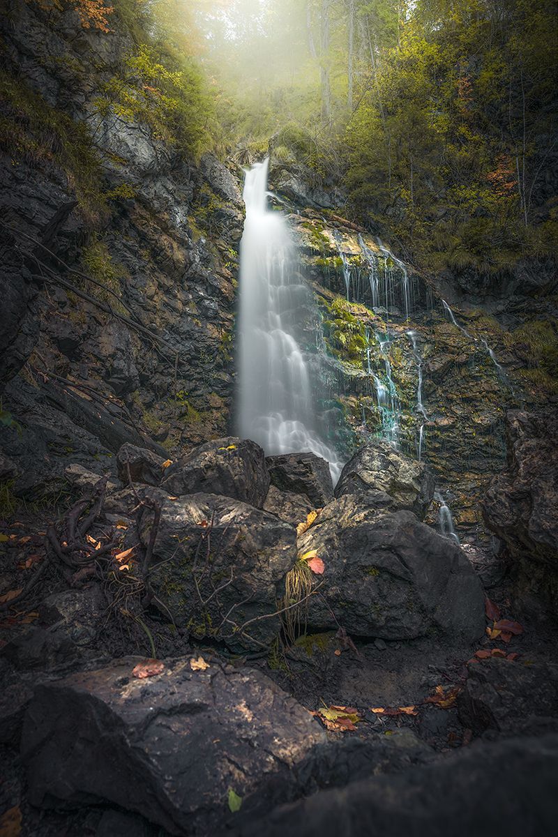 Wasserfall inmitten des Waldes auf dem Weg zum Nebelhorn, Allgäu, Bayern