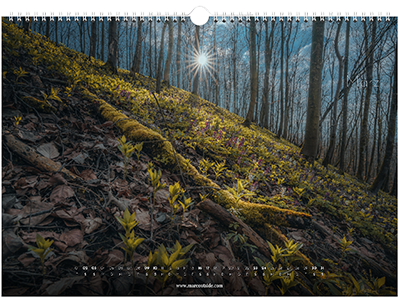 Kalender März