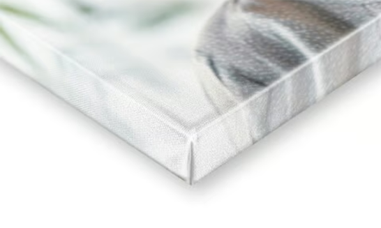 Abbildung eines Drucks auf Leinwand