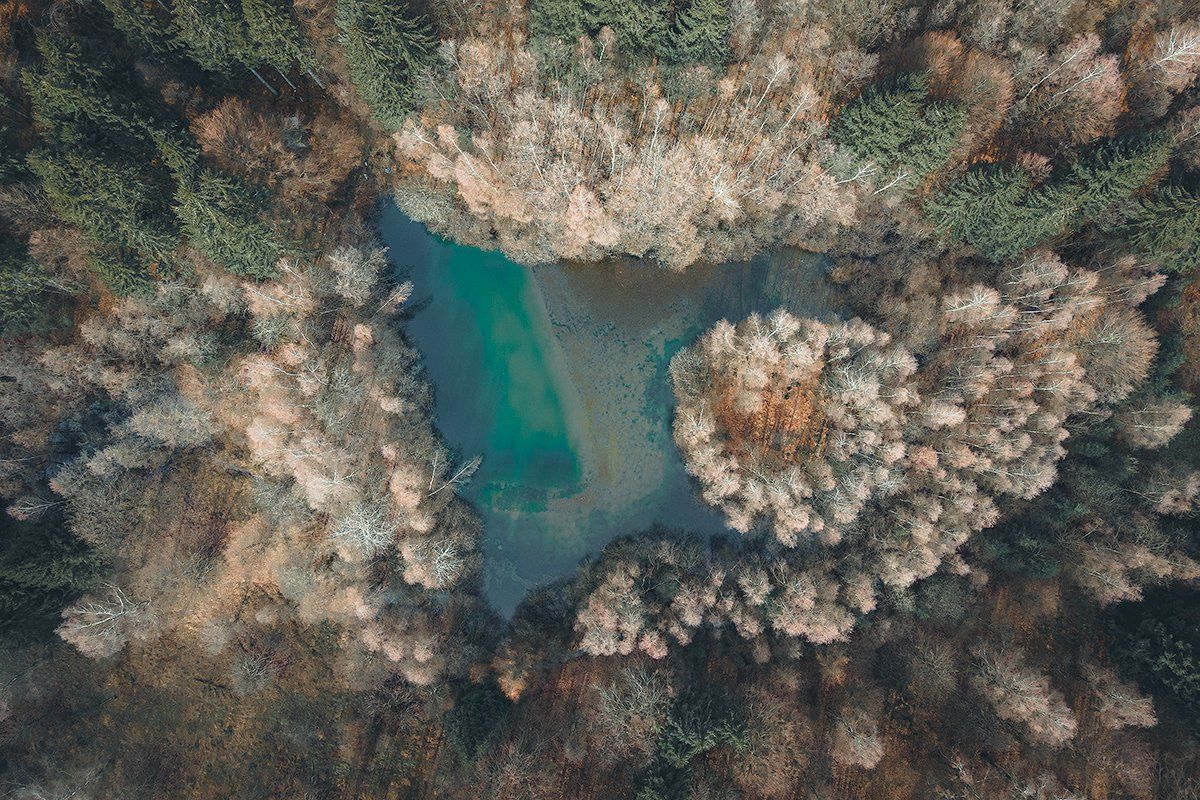 Kleiner Teich im Teutoburger Wald, Deutschland