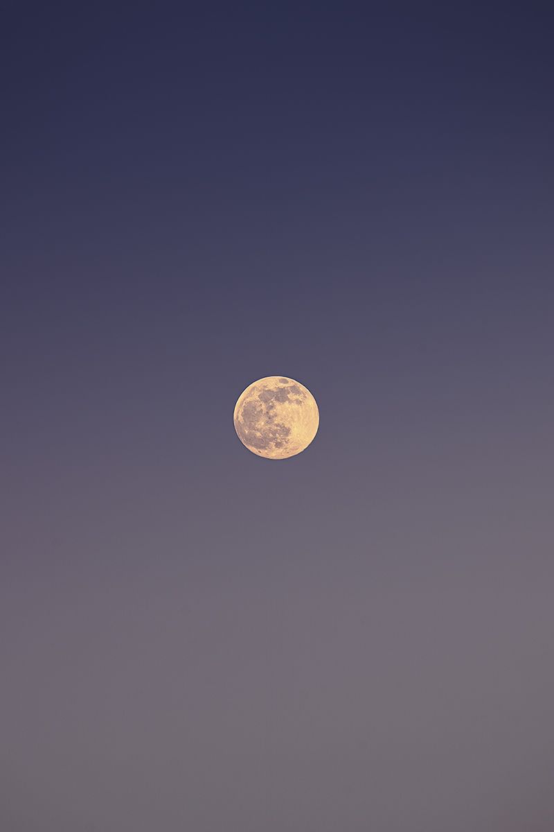 Der Mond vor pastellfarbenem Himmel, Deutschland