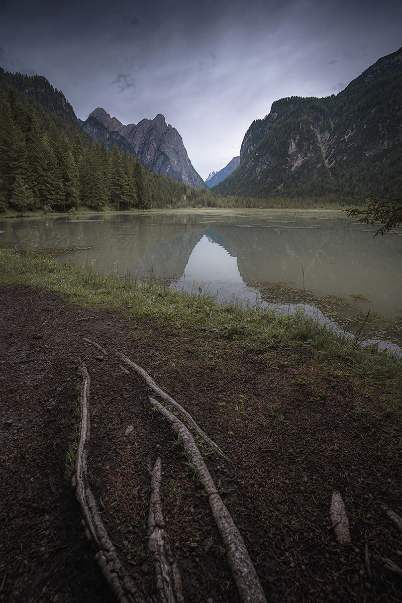 Der Toblacher See mit Baumwurzeln am Wegesrand und Spiegelung der Bergkulisse im Wasser, Dolomiten