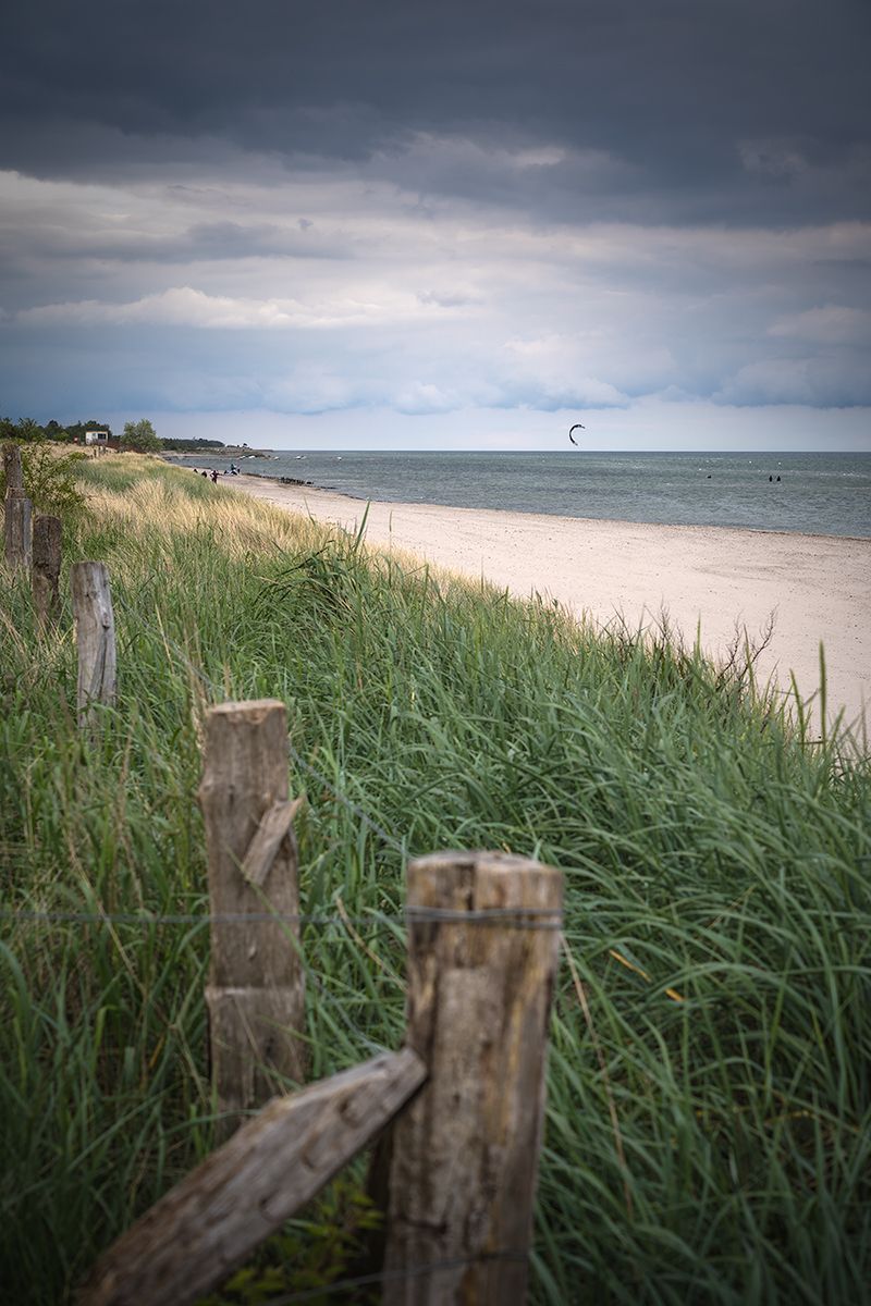 Ostseeküste mit Grasdüne und Zaun, Ostsee