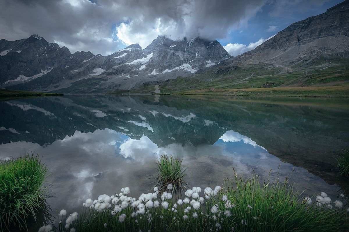 Kleiner Bergsee mit Wollgras am Seeufer vor der Kulisse des Matterhorns, Italien