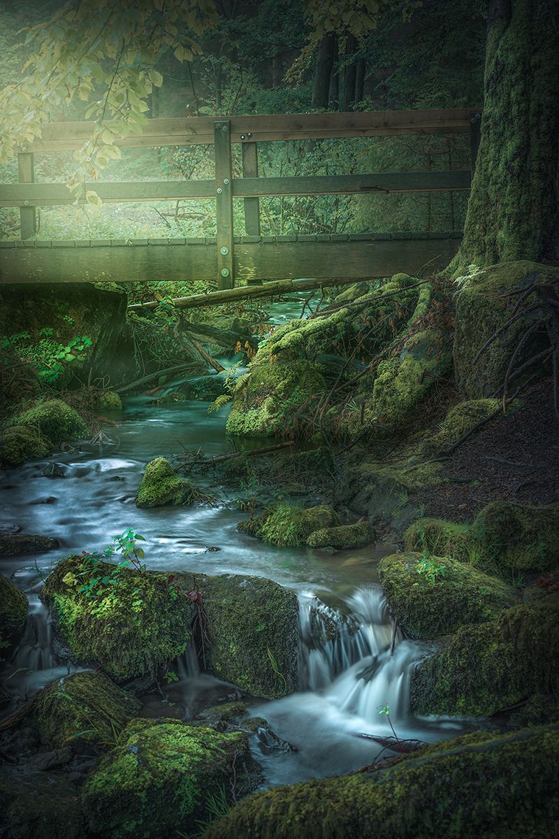 Silberbach im Teutoburger Wald, Deutschland