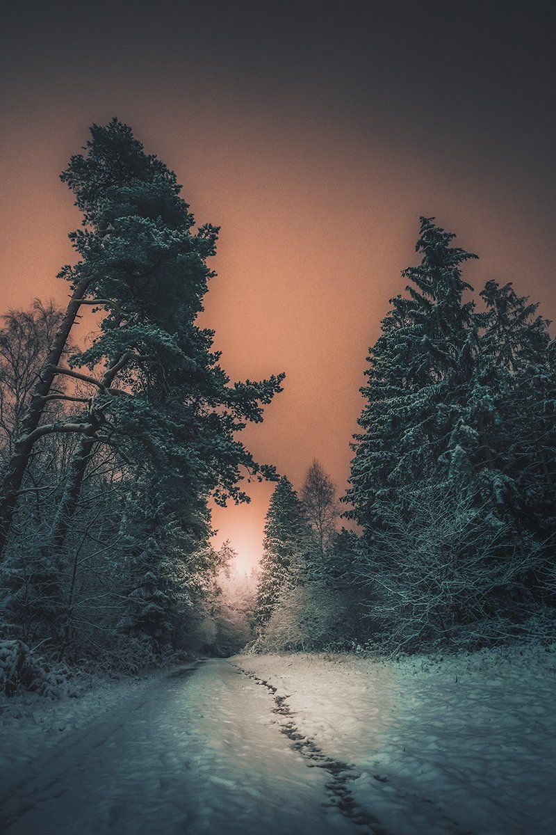 Verschneite Winterlandschaft bei Nacht, Deutschland