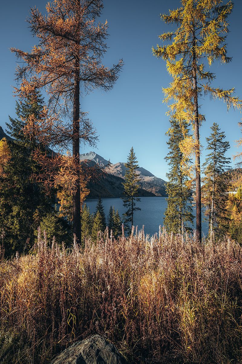Herbstlicher Wald mit Blick auf einen Bergsee, Schweiz