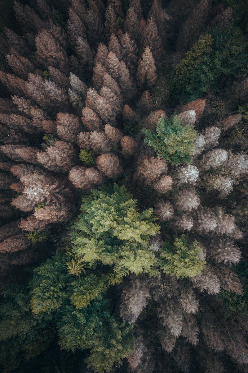 Der Teutoburger Wald von oben, Deutschland
