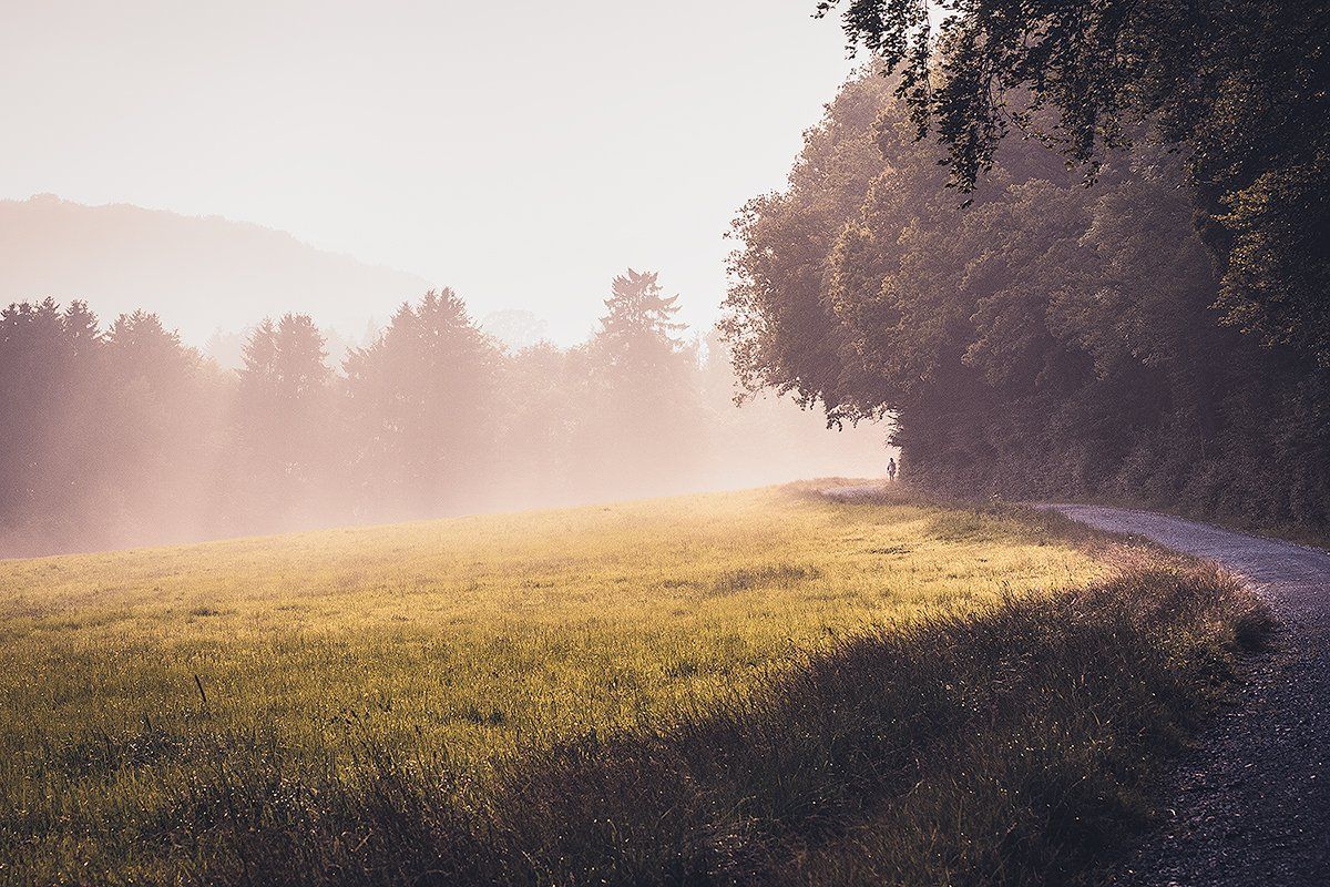 Nebelschwaden über Wald und Wiese nach einem Sommergewitter, Deutschland
