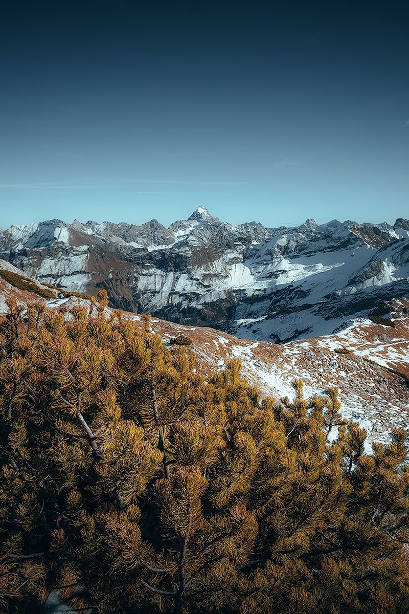 Der Blick vom Nebelhorn auf die Alpen, Bayern