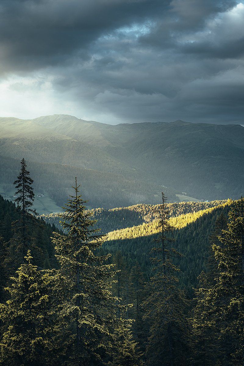 Blick ins südtiroler Tal mit Wald und toller Lichtstimmung, Südtirol