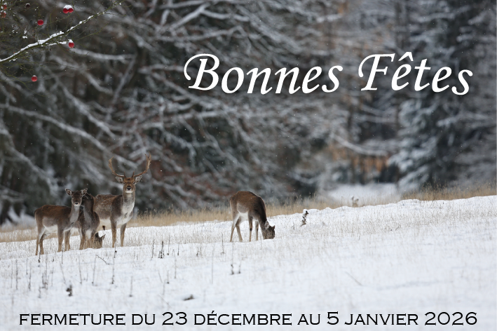 information fermeture Noël 2025