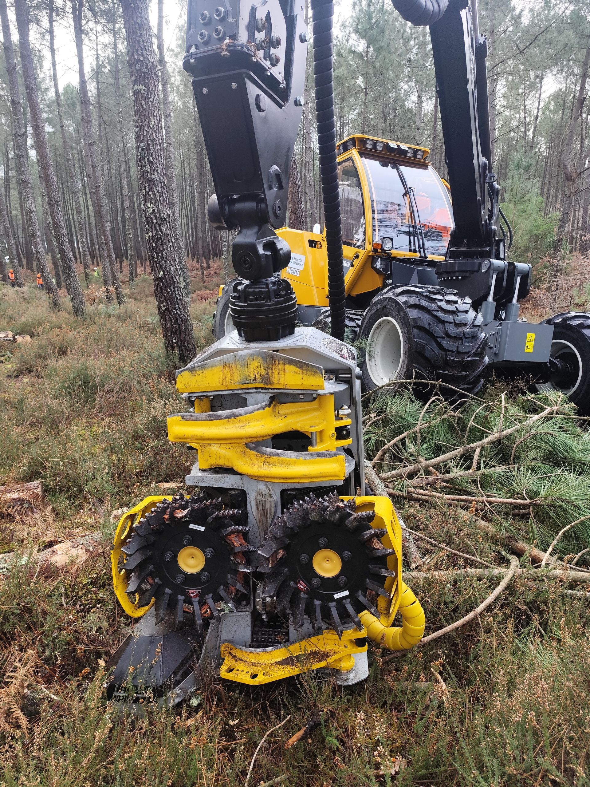 vue de la tête 19RH KESLA de l'abatteuse HR56 livrée à l'entreprise Smurfit dans les landes