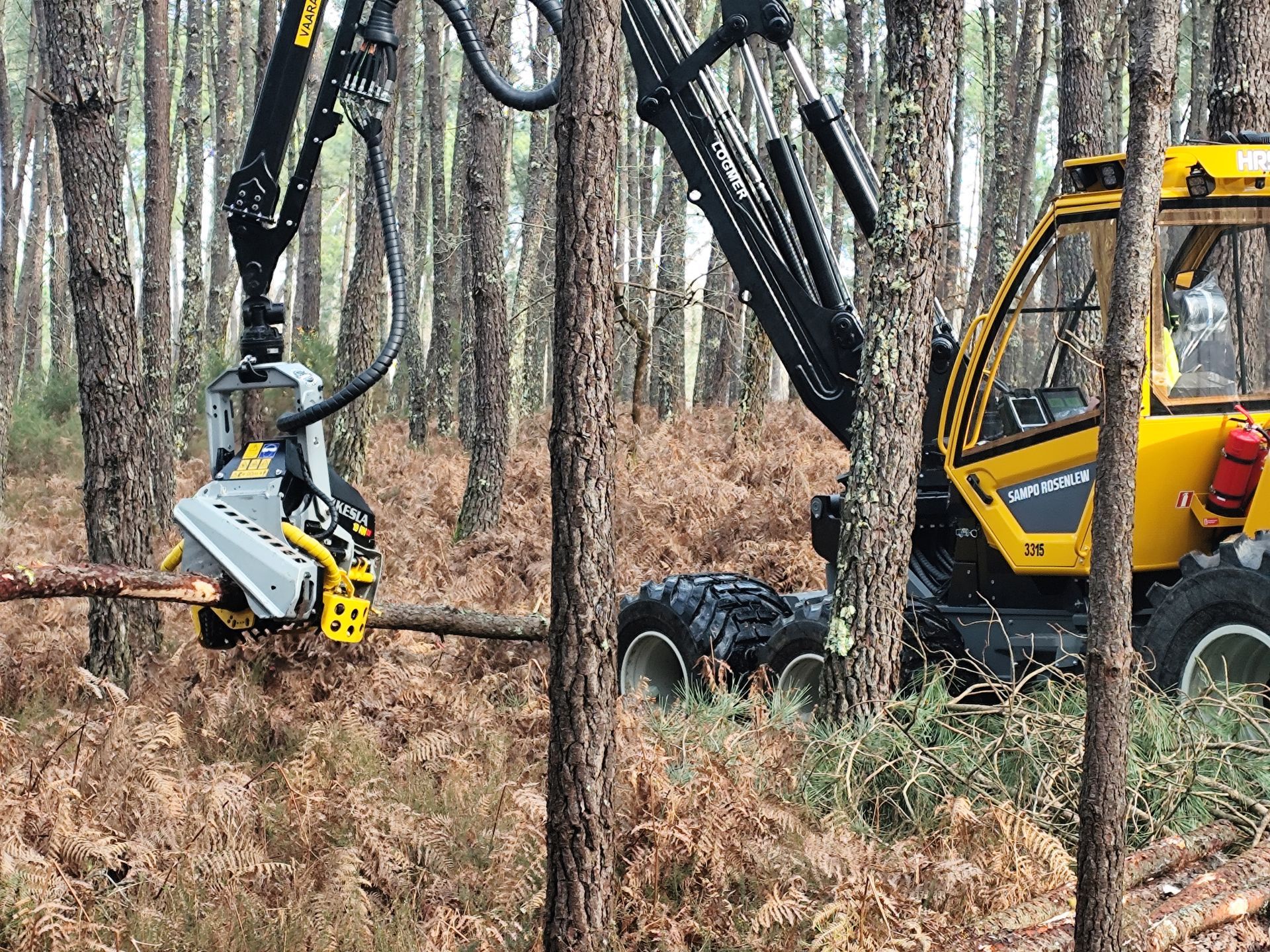 vue de la tête KESLA 19RH sur  de l'abatteuse SAMPO ROSENLEW HR56 livrée à l'entreprise Smurfit dans les landes