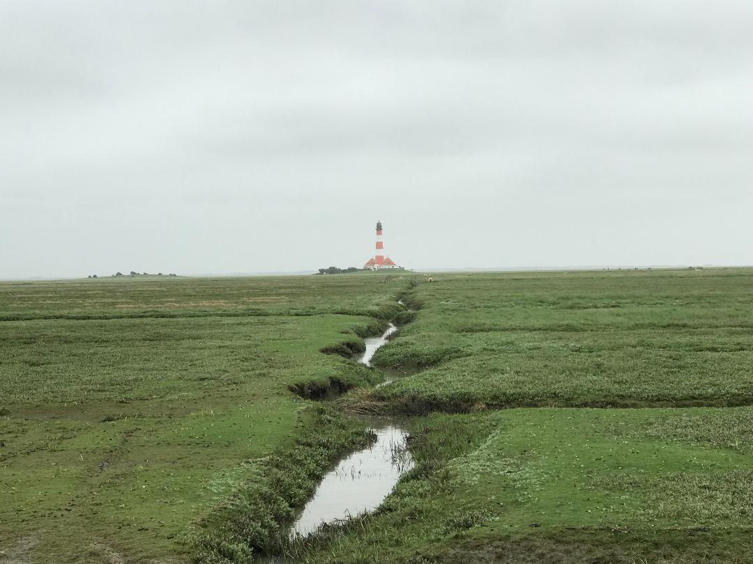 Nordsee, nordische Natur, Meer, Strand, Hügel, Windräder