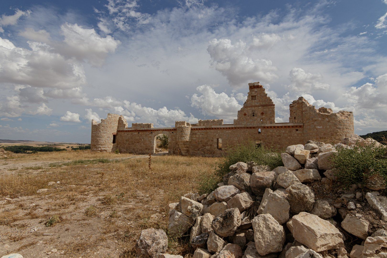 Todoterreno en un bosque por la noche