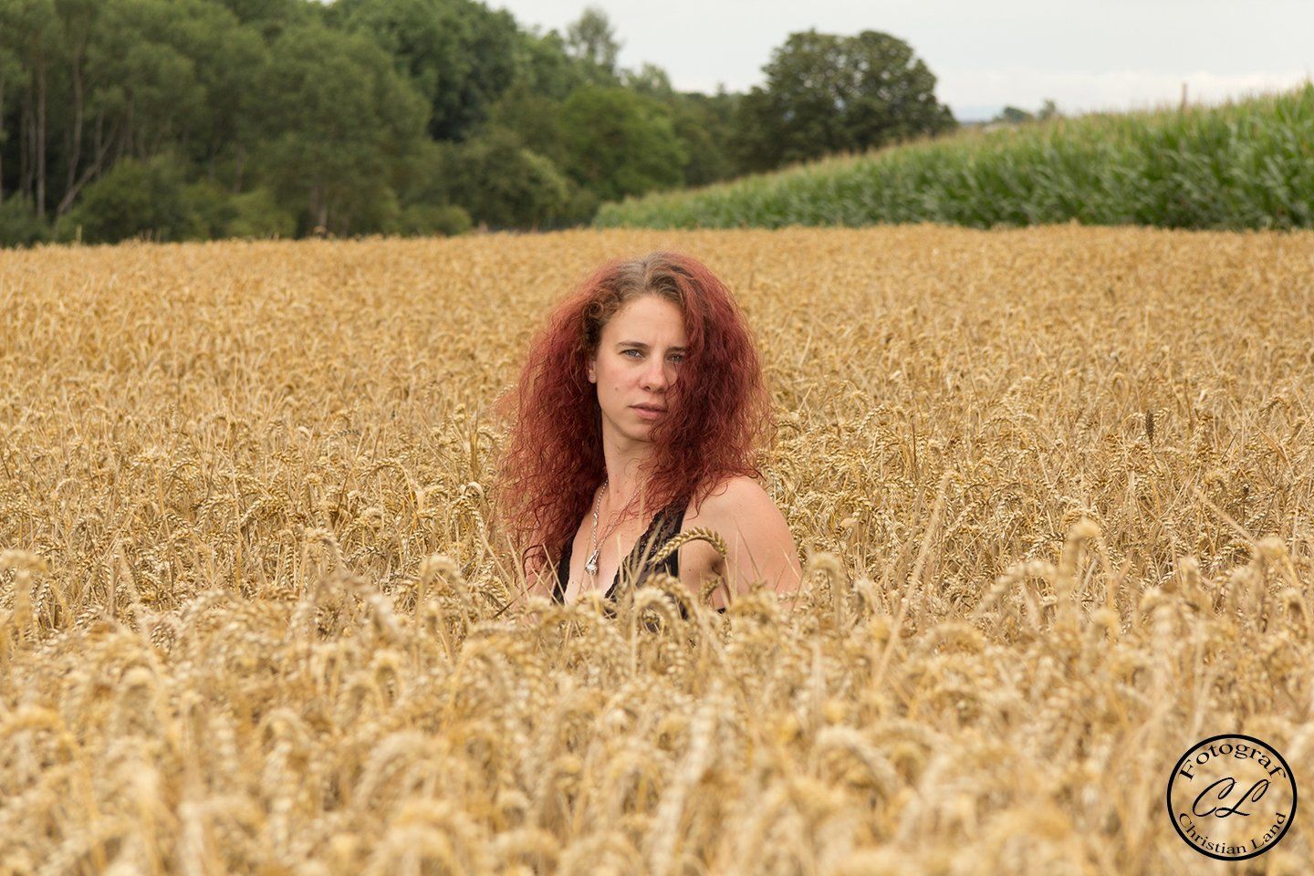 Portrait Serie