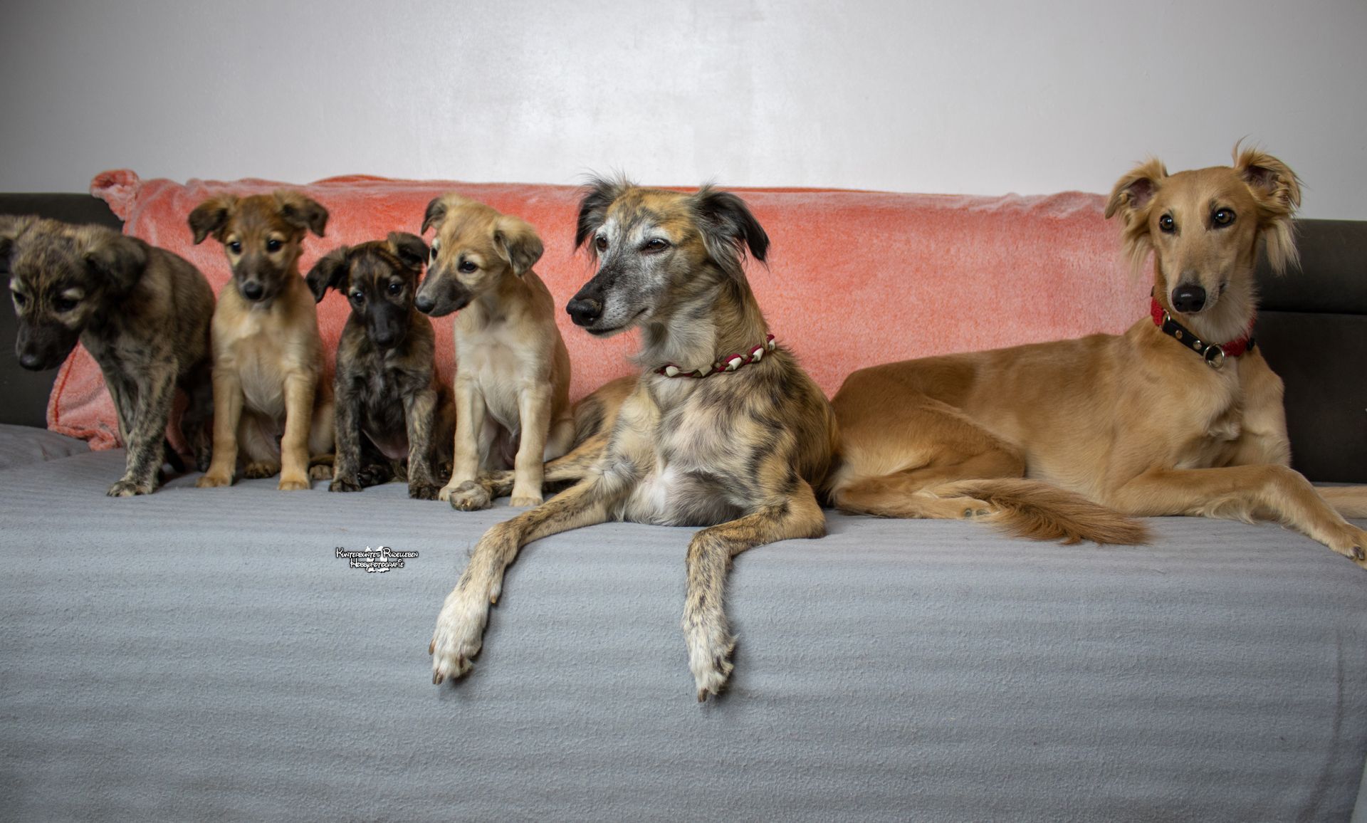 Familienfoto Familienfoto