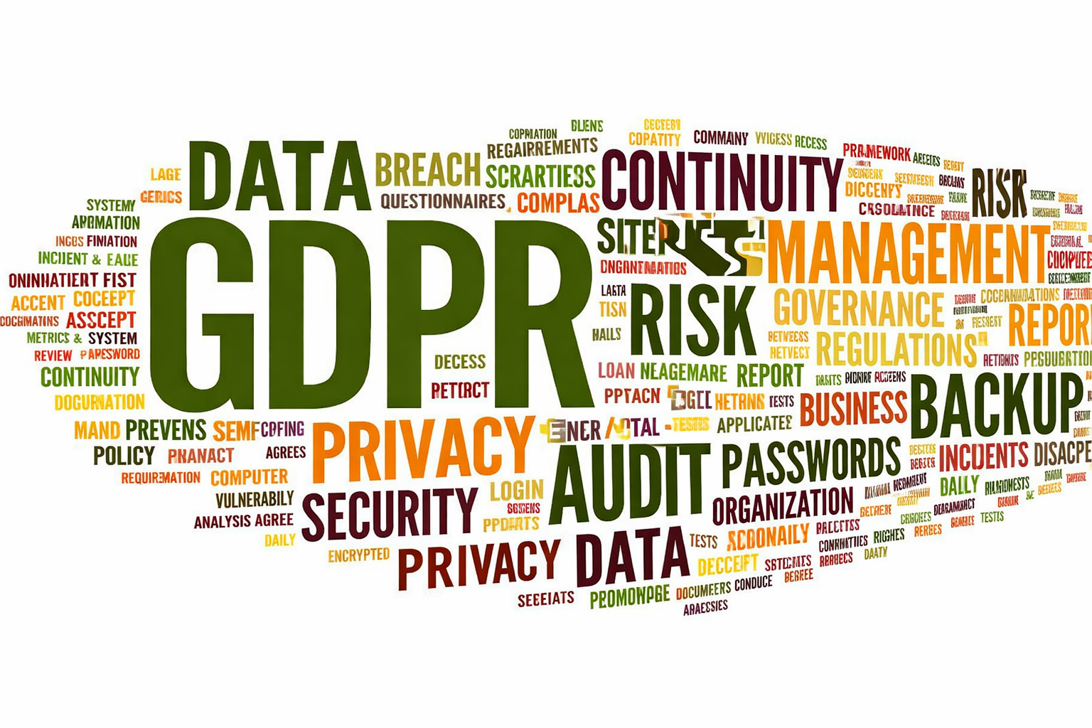 Servizi professionali Project Management