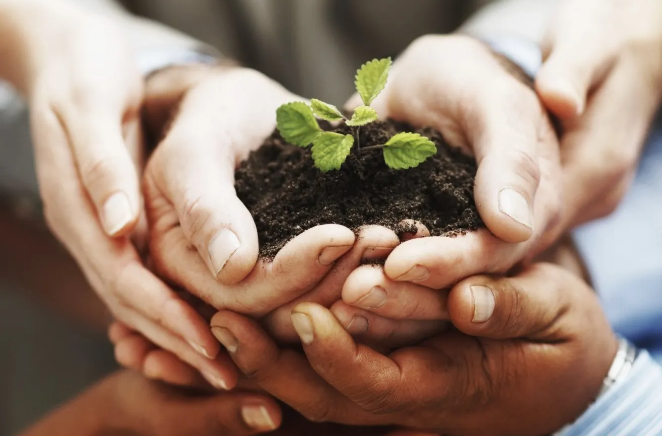 Fürstliches Golf-Resort Bad Waldsee, Golf, 45-Loch Golf-Anlage, LED Nachtgolf-Anlage, Golfschule, Golfturniere, New Course, Old Course, 9-Loch-Kurzplatz, Greenkeeping, Fürstlicher Golf-Club Oberschwaben, Fürstliches Golf-Hotel, Golf-Angebote, Golf-Schnupperkurse, Natur-Lehrpfad, Rund-Wanderwege, Kaffee, Restaurant, Vinothek, erlesene Weine, Bar, selbstgebackene Kuchen, Snacks, Mittagstisch, Sonnenterrasse, Gin - Greenkeeper's Cut, Bier vom Fass, kleine Gerichte, Burger, vegetarisch, vegan, Laktose frei, Gluten frei, Café-Restaurant Ausblick T-19, Restaurant im Hofgut